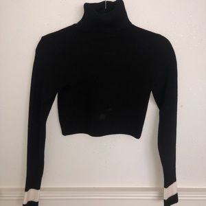 Zara Basics Turtlekneck Crop Top